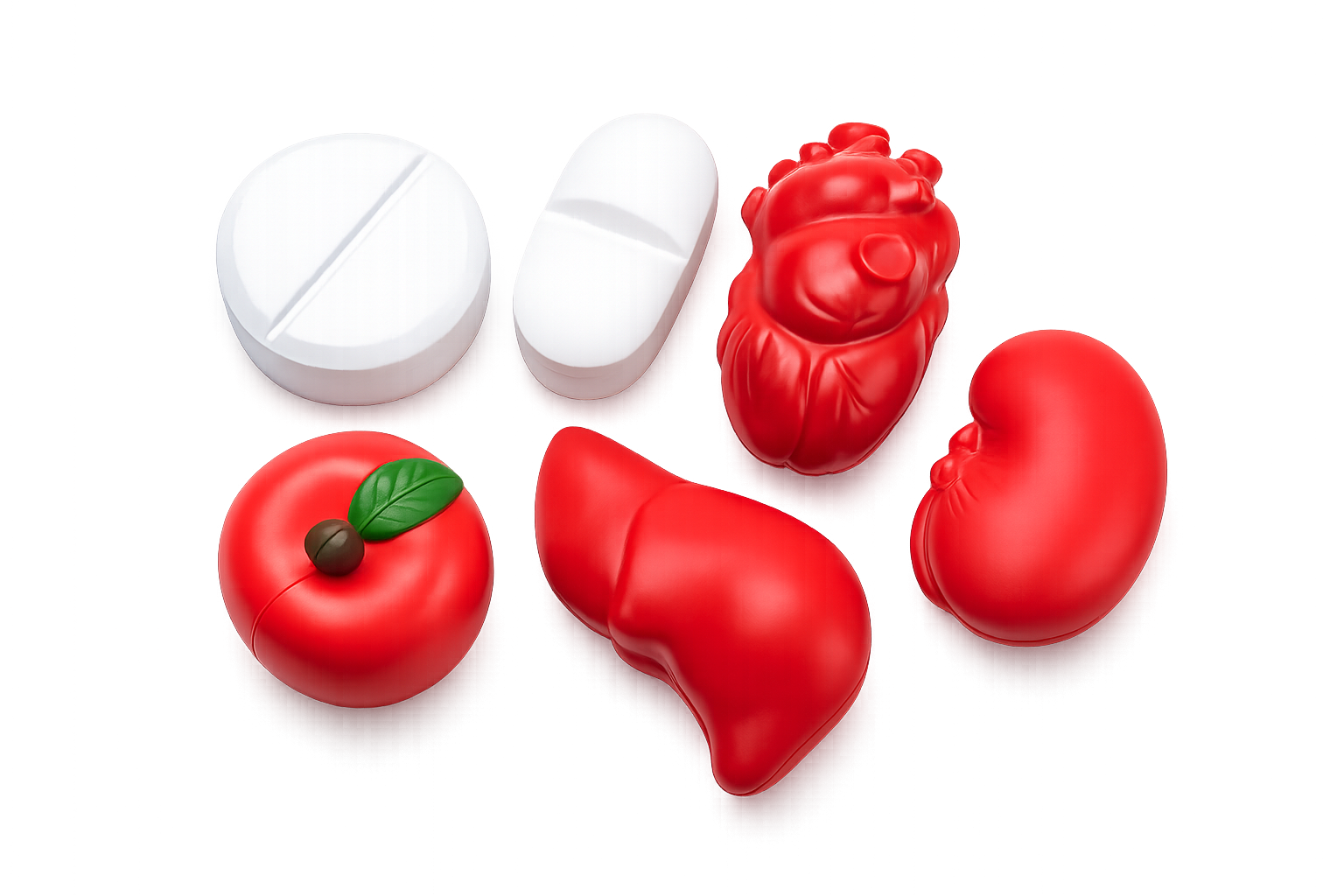 Human Organ Stress Balls