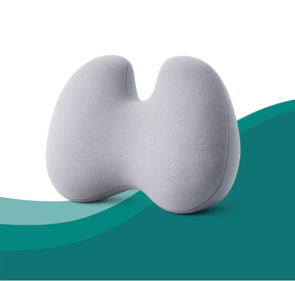 Back Support Elite 1​