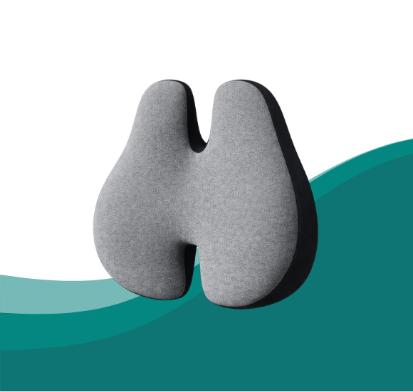 Back Support Elite 2​