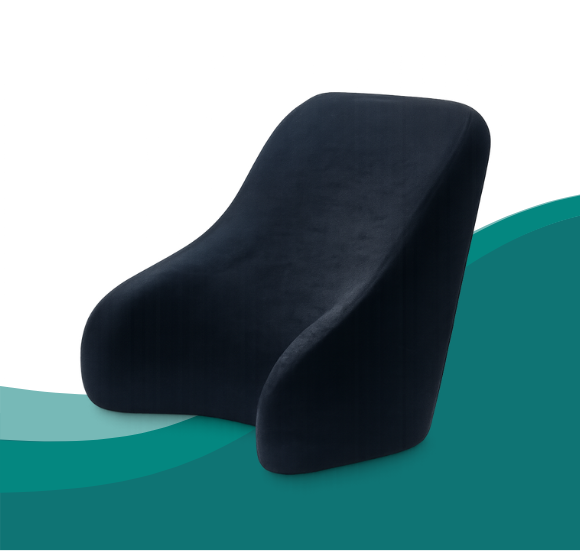 Backrest Cushion ​